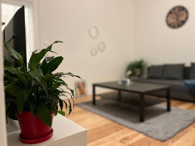 Cosy Rent-Strasbourg Gare 1-Wifiアパートメント エクステリア 写真