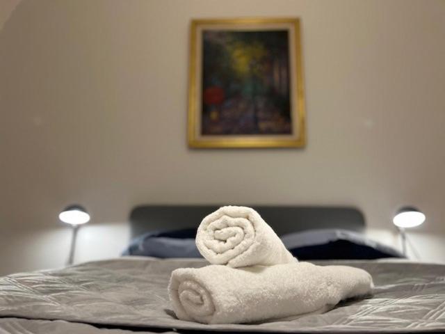 Cosy Rent-Strasbourg Gare 1-Wifiアパートメント エクステリア 写真
