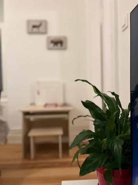 Cosy Rent-Strasbourg Gare 1-Wifiアパートメント エクステリア 写真